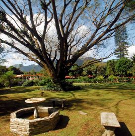 Hotel Crater Valley 