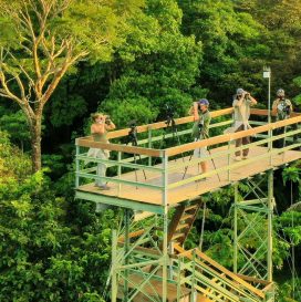 Tranquilo Bay Eco Adventure Lodge