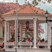 Half Day City Tour and Miraflores locks 